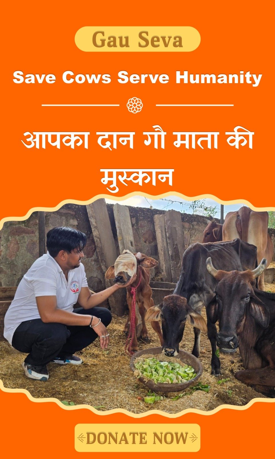 WhatsApp Image 2026-05-20 at 3.22.53 PM (1)