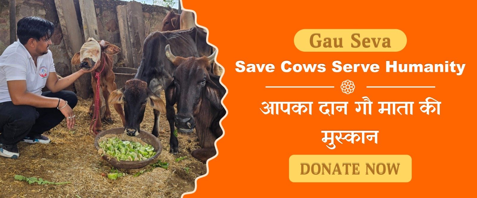 WhatsApp Image 2026-05-20 at 3.22.53 PM